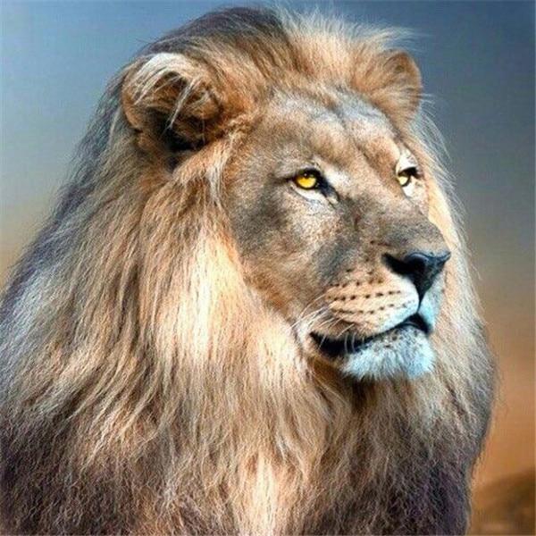 5D DIY Diamond Painting Full Drill Square Animal Butterfly Diamond Embroidery Flower Rhinestones Mosaic Decor For Home