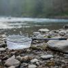 Telescopic Landing Net Portable Fishing with Silicone Bag catchFriendly Easy