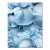 Blue Dandelion Rose Leaf Sea Quote Wall Art Canvas Painting Nordic Posters And Prints Plant Wall Pictures For Living Room Decor