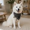 Dog Collar Outdoor Anti Lost Escape Proof Leashable Comfortable Breathable Adjustable Stain Resistant Washable Pet Scarf