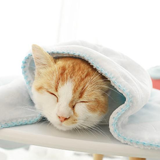 Cat Blanket Soft Keep Sided Velvet Warmth Double Cushion Quilt Cat Kitten for All Seasons