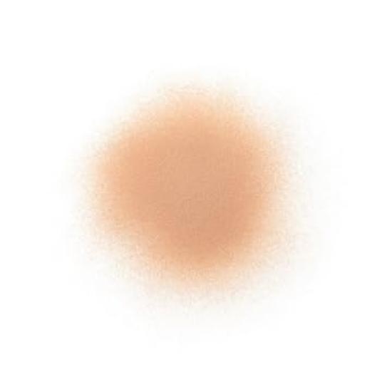 Cosme Decorte Puder lose 05 glowy tan 20g