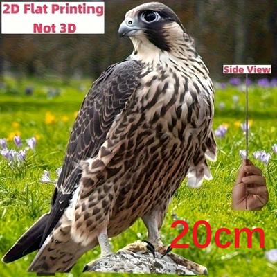 Flat 2d, Wingspan Falcon Plastic Decoration, Garden Decoration Backyard Decoration Outdoor, Lawn Yard Decoration, Garden Inserted Ground Decoration