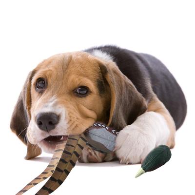 Haustiertrainingsspielzeug Geflügel für Hundejagd Apportieren Simulation Ente Bumper Retriever-Werkzeug Interaktives Hundeunterhaltungsspielzeug