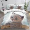 3D Cat Duvet Cover Set Luxury Cute Kawaii Animal with Pillowcase Queen King Full Size Polyester Bedding Set for Kids Boys Girls