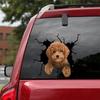 ChichuangK Ute Little Poodle Crack 3D Car Sticker, Funny Modern