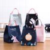 Cartoon Bento Bag: Insulated Oxford Cloth Lunch Box for Kids