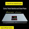 Jundingying Outdoor Industrial Electronic Floor Scale