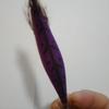 Used Shimano bait tree Egizail No. 3.5 Discontinued product