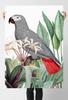 Poster Grey Parrot Plants