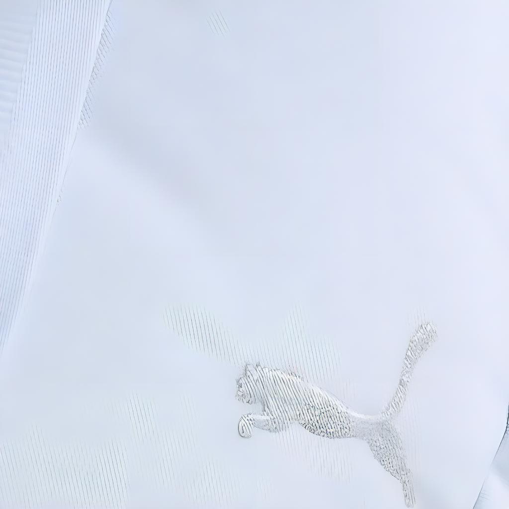 New PUMA Fabric Dumpling Bag Shoulder Bag Women's Sky Blue 091279-02