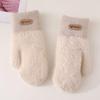Double Layer Velvet Thickened Warm Gloves Solid Color Versatile Gloves for Outdoor Cycling Winter Warm Plush Inner Mittens