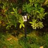 Solar LED Waterproof Outdoor Lawn Light - Garden Landscape Decoration