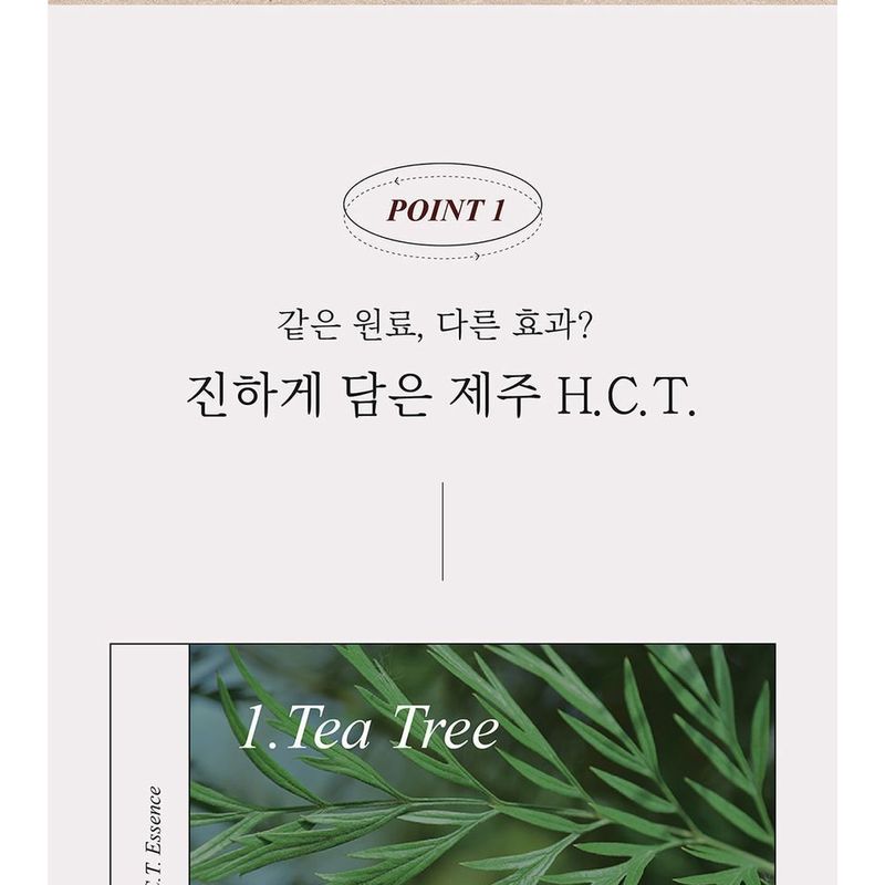 mixsoon - H.C.T. Essence