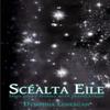 Scealta Eile by Dymphna Lonergan Paperback Book 9780645772104