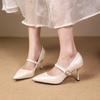 2024 Women's Heeled Single Shoes Stiletto Heel Pointed Toe Versatile Buckle Decoration Spring and Autumn Women's Shoes