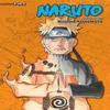 Naruto 3in1 Edition Vol. 20 by Masashi Kishimoto Paperback Book 9781421591155