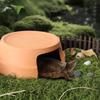 Entranc Turtle Hideout Decorative Reptile Caves Practical Reptile Terrarium  Landscaping
