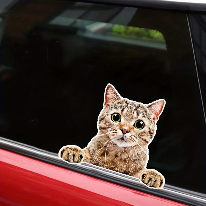 Zmatené kotě Samolepky na auto pro okno auta Zadní sklo Víčko palivové nádrže Dekorace zadního nárazníku Krytí škrábanců Vinylové nálepky