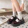 Black French Retro Thick Heel Platform Small Leather Shoes Women's 2025 New Spring and Autumn Round Head Shallow Mouth Mary Jane Single Shoes