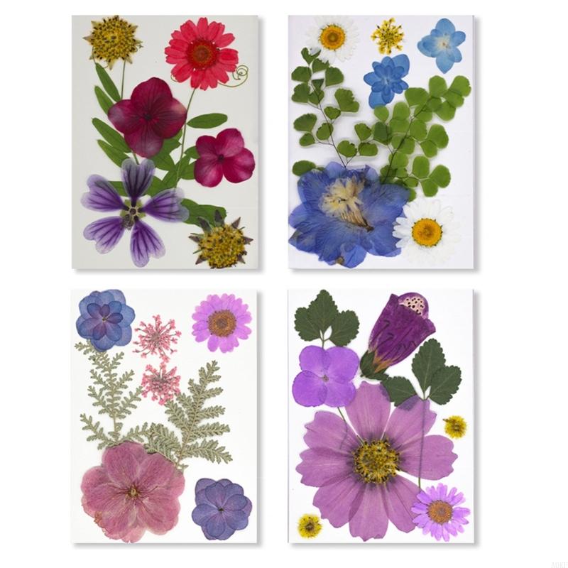 Elegant Natural Pressed Flower 32 Pieces 4 Pack Materials Dried Florals For Resin Art Jewelry Making Projects A0KF