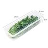 Refrigerator Keep Fresh Organizer Rectangular Fruit Vegetable Storage Containers Box Household Kitchen Food Sealed Box Wholesale