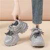 Daddy Shoes Small Man Muffin Thick Sole Cm Non-slip Mesh Versatile Trend Sports Casual Silver Heightening Women's Shoes