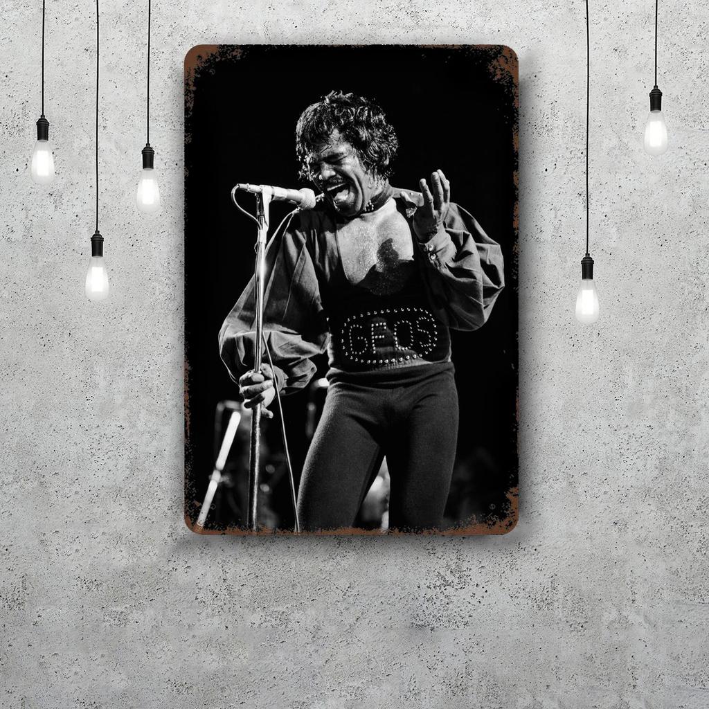 James Brown Metal Signs Wall Decor Vintage Tin Signs Captain Metal Poster Decor for Bar Pub Club Wall Decoration