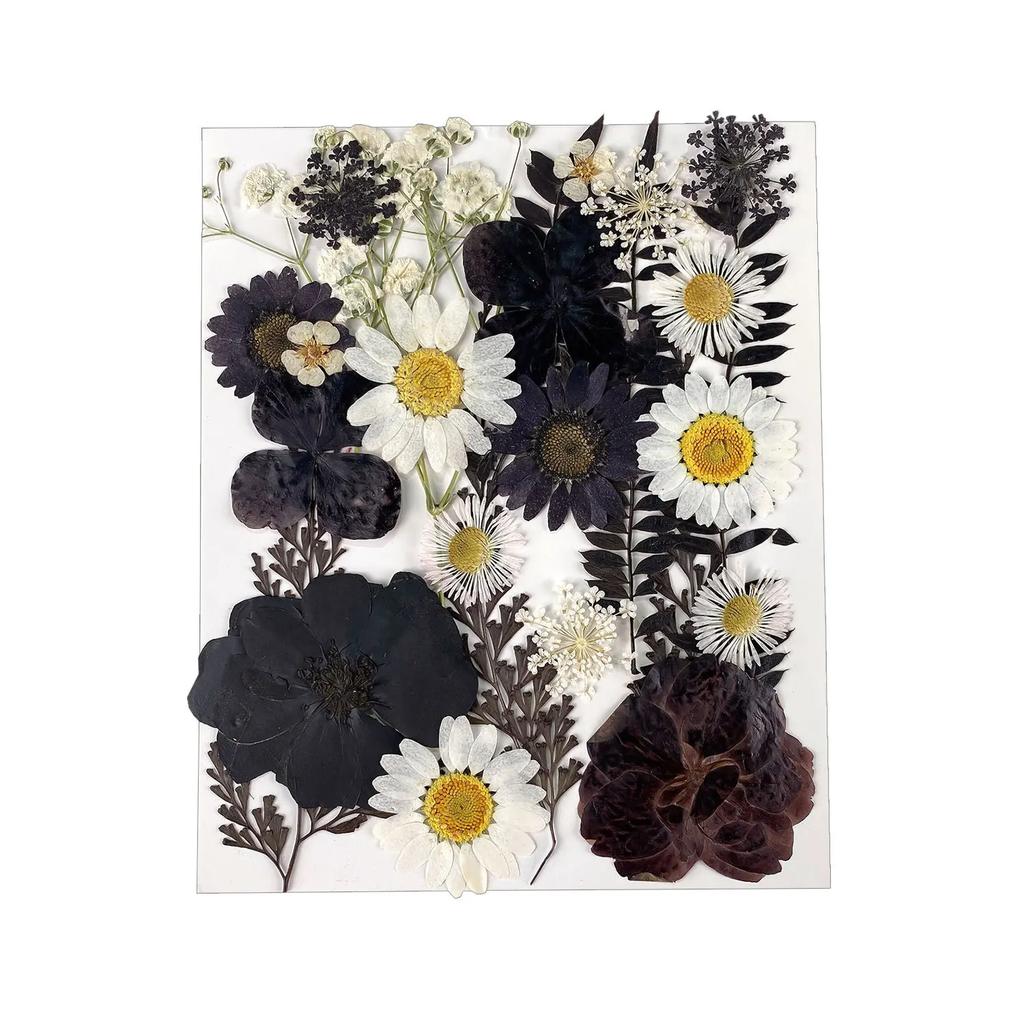 25PCS Dried Flowers Set for DIY Resin Pendant Making Filling Pressed Real Natural Flowers Leaves for Bookmark Phose Case Making
