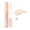 Eyes Face Concealer Tekutý krycí krém na tmavé kruhy Akné Přírodní Face Makeup Base Podkladový krém Kosmetika XYZ