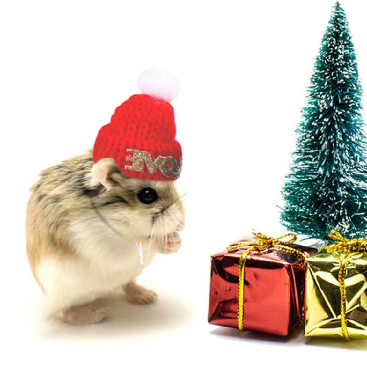 Guinea Pigs Hat Christmas HeadWear Costume Christmas Theme Gift Handwoven