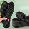 Wormwood Deodorant Insoles - Sweat-Absorbent, Breathable, and Soft Elastic (5 Pairs)