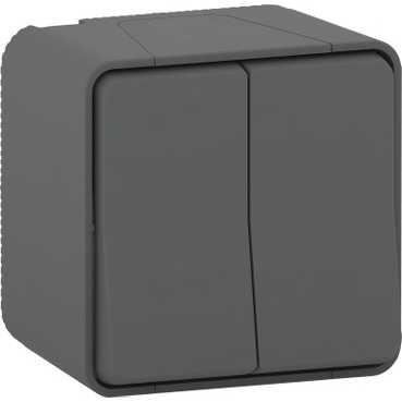 Double va-et-vient - Schneider - Mureva Styl - Saillie - Gris - IP55 IK08