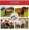 Extra Large Stainless Steel Livestock Drinking Bowl for Cows, Horses, and Sheep