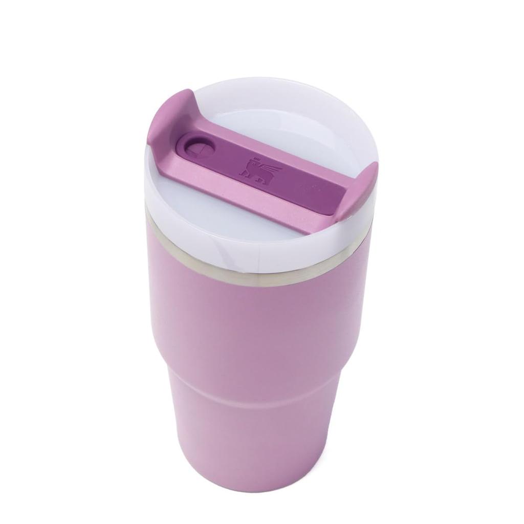 Stanley Water Bottle STANLEY Vacuum Slim Quencher ONE H2.0 0.6L 10-10826 Frost(261)