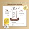 Little Xiangdun Air Freshener for Home & Bathroom Aromatherapy