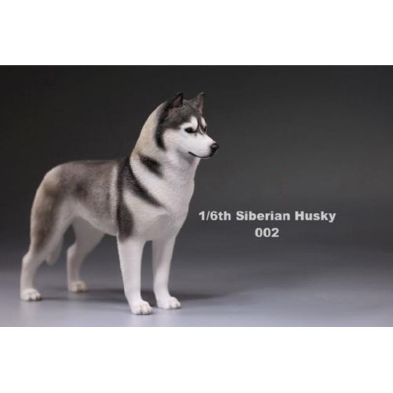 working dog accessories