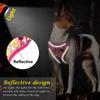 Mesh Nylon Dog Harness Lead Leash Set Reflective Dogs Vest Harnesses With Walking Belt Rope for Small Medium Large Dogs Pug