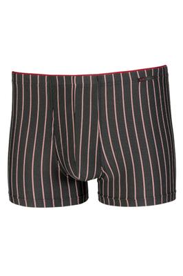 Gotzburg Boxer Briefs (92738)