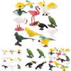 Kids Wild Bird Replica Pvc Educational Toy For Science Projects And Gift