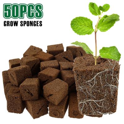 50 Pièces Éponges de Culture Bouchons de Démarrage Hydroponique Éponges de Démarrage de Graines pour Jardinage Incision Oblique Bloc de Substrat pour Semis et Bouturage