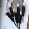 Silver Feather Diy Handmade Craft Decoration Material Shooting Background Props Spray Silver Feather Decoration Foreign Trade