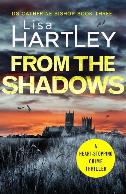 From the Shadows by Lisa Hartley Paperback Book 9781788639897