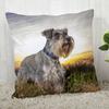 Pillow Cover Customize Schnauzer Pillow Case Modern Home Decorative Pillowcase For Living Room 45X45Cm,40X40Cm A.4.29