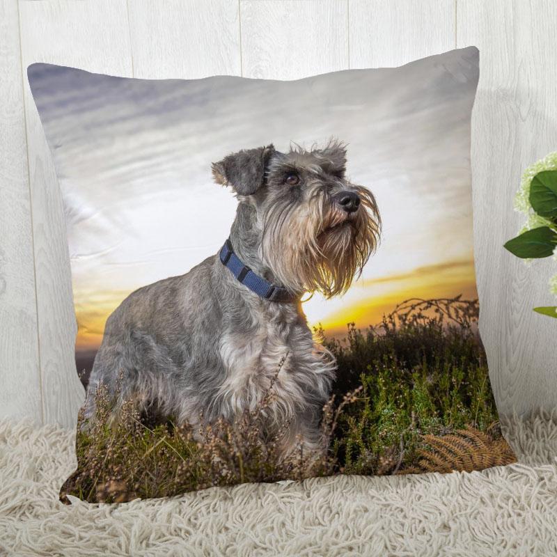 Pillow Cover Customize Schnauzer Pillow Case Modern Home Decorative Pillowcase For Living Room 45X45Cm,40X40Cm A.4.29