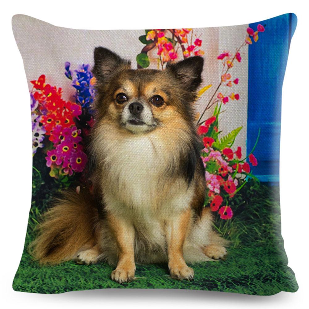 

Наволочка милый щенок чихуахуа наволочка украшение милое домашнее животное наволочка 40x40cm