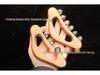 Green Sandalwood Meridian Massage Brush for Full Body Use