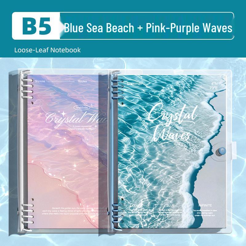 Detachable Transparent Leather Binder with 5 Notebooks for High School Students - 2026 Edition