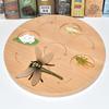 Montessori Plant & Animal Life Cycle Educational Toy Set for Early Learning