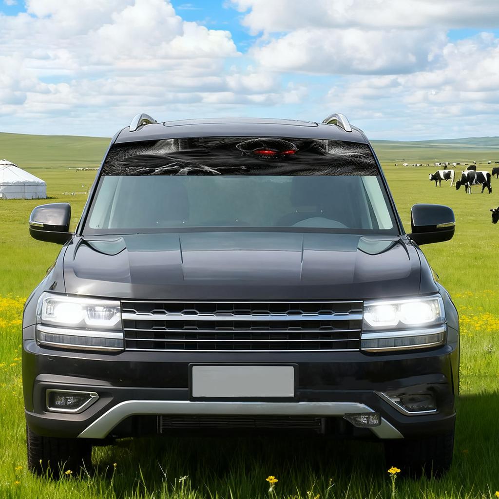 Transparent Car Windshield Sticker